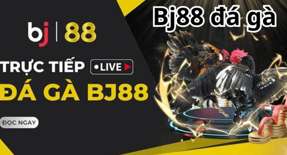 Vì sao game đá gà online tại nhà cái Bj88 được ưa chuộng?